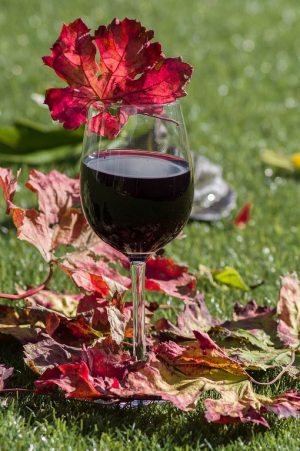Cabernet Clare Valley S.A  12 Bottles